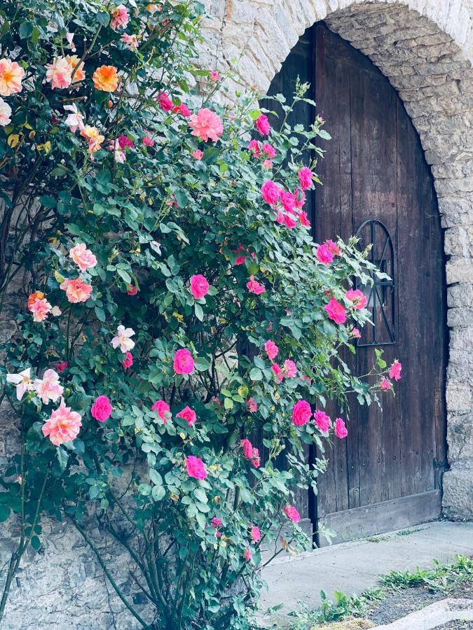 לינה וארוחת בוקר Villersexel Manoir Saint-Pierre מראה חיצוני תמונה